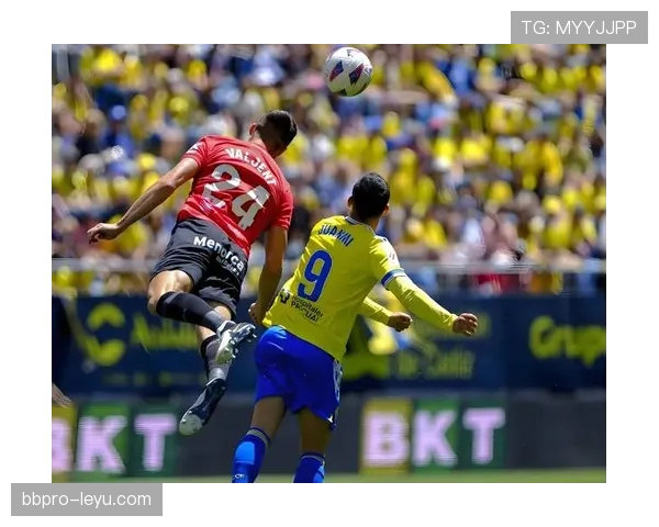 费内巴切掌控比赛节奏，状态回暖表现亮眼