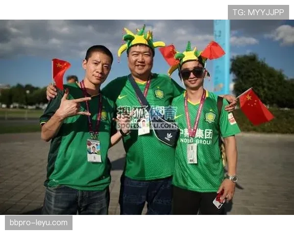 芬兰球迷雪鸮军团盛况空前，激情助威彰显世界杯支持