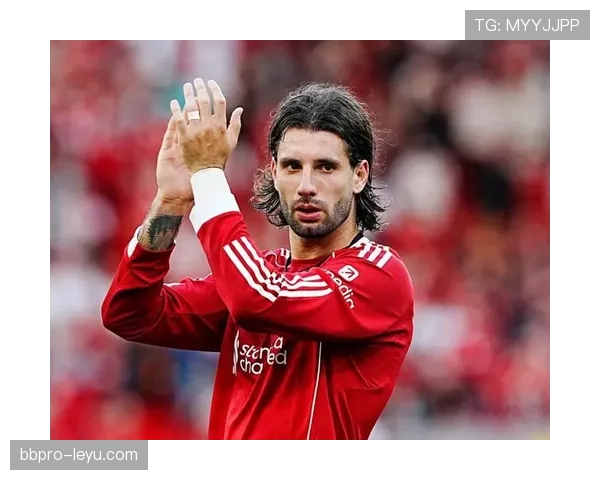 索博斯洛伊身价跻身英超中场前列 索博斯洛伊身价跻身英超中场前列